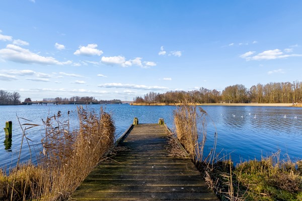 JACQUES TATILAAN 143-60.jpg